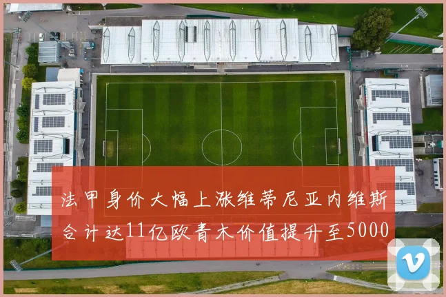 法甲身价大幅上涨维蒂尼亚内维斯合计达11亿欧青木价值提升至5000万
