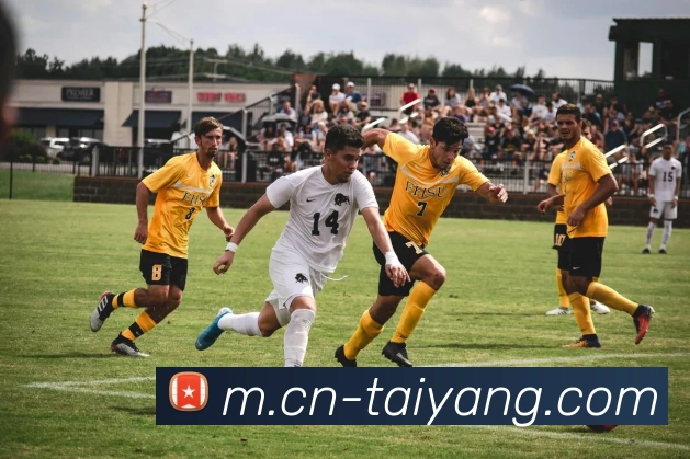 太阳城发展历程