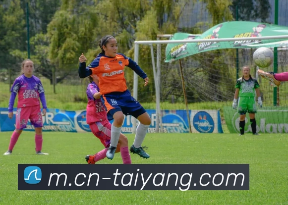 国安对阵麦克阿瑟首发阵容揭晓张玉宁塞尔吉尼奥方昊领衔出战